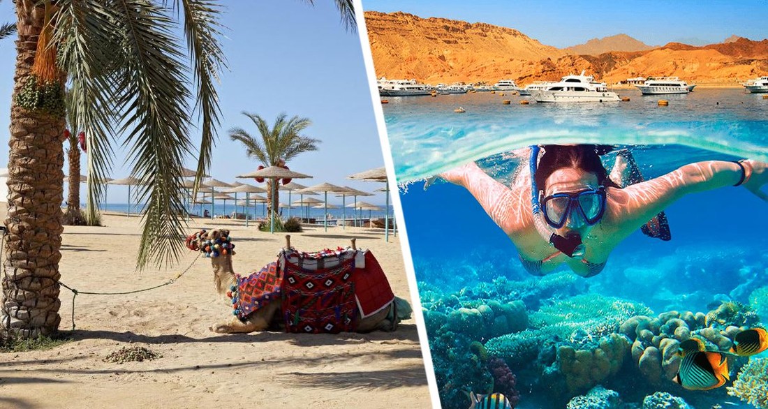 Российская туристка в Хургаде была шокирована, когда поняла, что все пляжи там платные