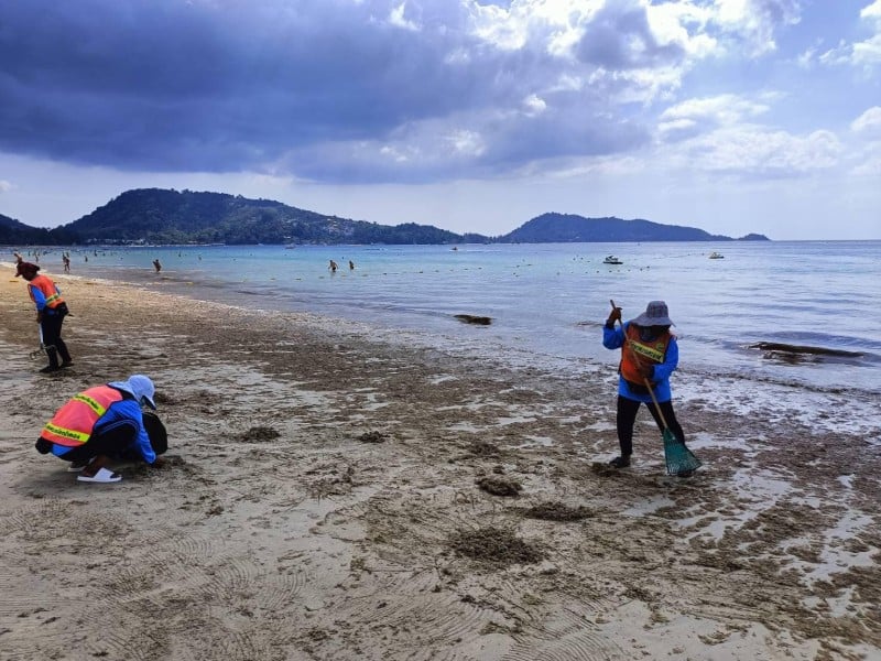 Туристам на Пхукете объявили о новой напасти: пляжи начали чистить