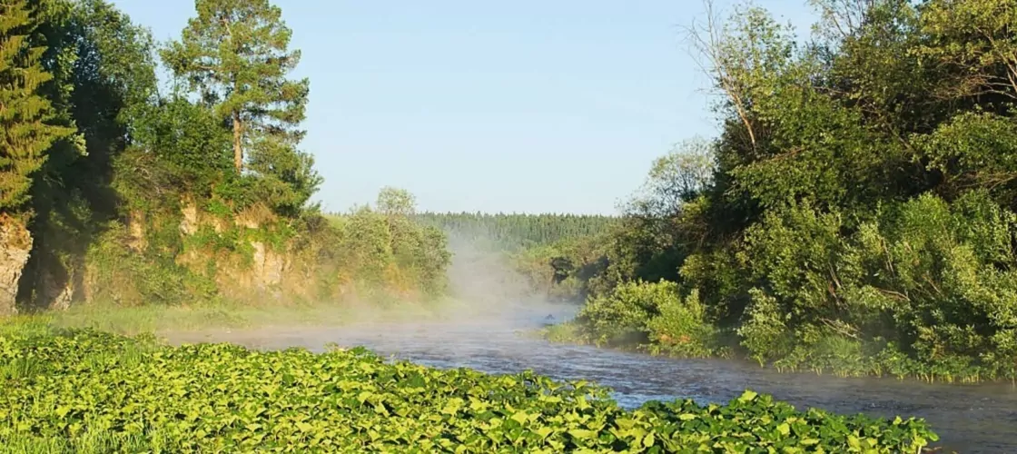 Река Сулём